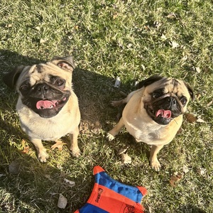 Danielle Delongchamp